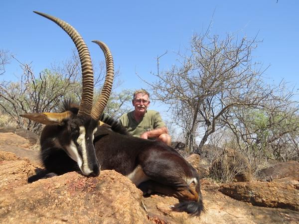 Sable Hunter 10-day South Africa Sable Hunt for One Hunter and One Observer - Safari ...