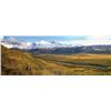 Image 2 : 8-day Alaska Peninsula Brown Bear Hunt for One Hunter