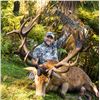 Image 2 : 6-day New Zealand Gold-Medal Red Stag and Trophy Fallow Deer Hunt for Two Hunters and Two Observers
