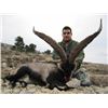 Image 2 : 8-day Spain Beceite and Southeastern Ibex Hunt for One Hunter and One Observer