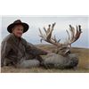 Image 2 : 3-day Saskatchewan White-tailed Deer Hunt for One Hunter
