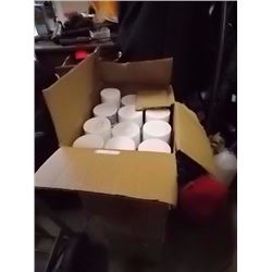 DISINFECTANT SPRAY - CASE OF 12