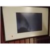 Image 1 : FRAMED PICTURE - C1788