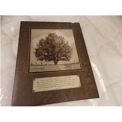 FRAMED PICTURE - TREES