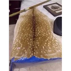 DEER PELT