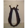 Image 1 : Horse Collar And Hanes