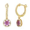 Image 1 : 14K Gold 0.62 CTW Sapphire & Diamond Earring - REF-49Y4X