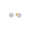 Image 1 : 0.5 CTW Natural Diamond Flower Cluster Screwback Stud Earrings 14K Yellow Gold