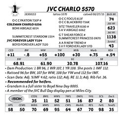 Lot 1 - JVC Charlo 5570