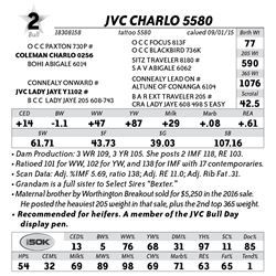 Lot 2 - JVC Charlo 5580