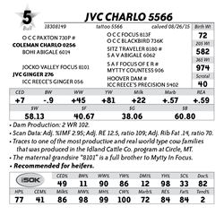 Lot 5 - JVC Charlo 5566