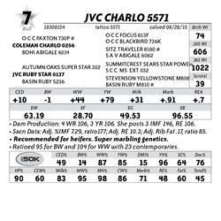 Lot 7 - JVC Charlo 5571