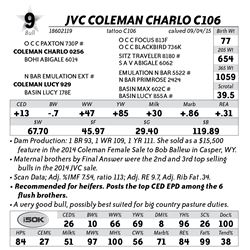 Lot 9 - JVC Coleman Charlo C106