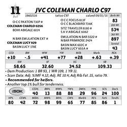 Lot 11 - JVC Coleman Charlo C97