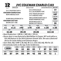 Lot 12 - JVC Coleman Charlo C103