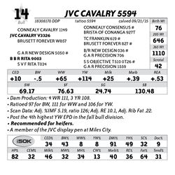 Lot 14 - JVC Cavalry 5594