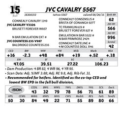 Lot 15 - JVC Cavalry 5567