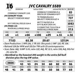 Lot 16 - JVC Cavalry 5589