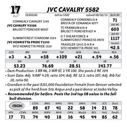 Lot 17 - JVC Cavalry 5582