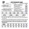 Image 1 : Lot 17 - JVC Cavalry 5582