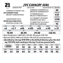 Lot 21 - JVC Cavalry 5591