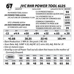 Lot 67 - JVC RHR Power Tool 6125