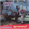Image 1 : Stray Cats