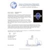 Image 5 : 7.11 ctw Tanzanite and Diamond Ring - 14KT White Gold