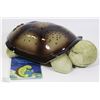 Image 1 : CLOUD B-CLASSIC TWILIGHT TURTLE NIGHTLIGHT