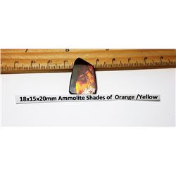 ORANGE/YELLOW /RED FIRE AMMOLITE GEMSTONE