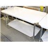 Image 1 : ME#16 S/S WORK TOP TABLE 30"X60"WITH GALVANIZED