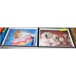 FRAMED 3D MOTION PICTURES OF DOGS AND KITTENS