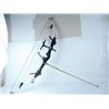 Image 1 : Custom made compound target bow