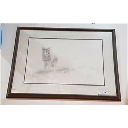 SIGNED LTD EDITION PRINT OF A COYOTE