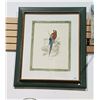 Image 1 : FRAMED PRINT OF A PARROT