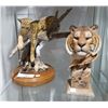 Image 1 : PAIR OF WILDCAT STATUES IN RESIN