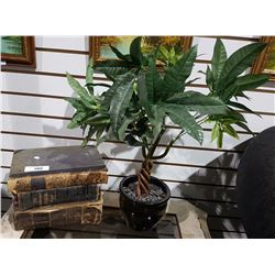 THREE ANTIQUE BOOKS & DECORATIVE PLANT