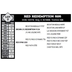 RED REDEMPTION 606