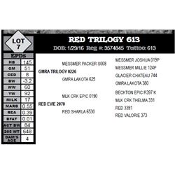 RED TRILOGY 613