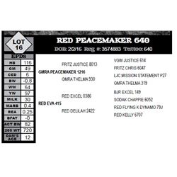 RED PEACEMAKER 640