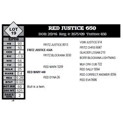 RED JUSTICE 650