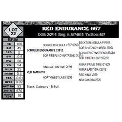 RED ENDURANCE 657