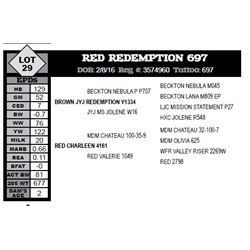 RED REDEMPTION 697