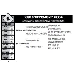 RED STATEMENT 6004