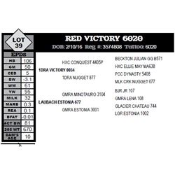 RED VICTORY 6020