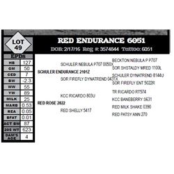 RED ENDURANCE 6051