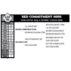 RED COMMITMENT 6056