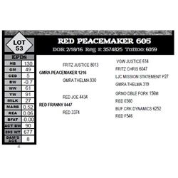 RED PEACEMAKER 605
