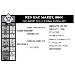 RED HAY MAKER 6066