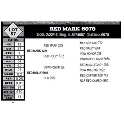 RED MARK 6070